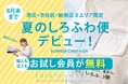 【港区・渋谷区・新宿区限定】夏の「しろふわ便」デビュー！お試し会員が8月のみ無料に―　エリア限定キャンペーンを初開催、個人も法人も対象