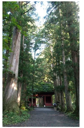 戸隠神社　随神門