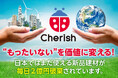毎日2億円分が捨てられる建築資材──“もったいない”を価値に変える！建築資材ロス削減プラットフォーム「Cherish」、全国認知拡大に向けCAMPFIREでクラウドファンディング開始