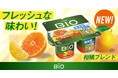 “おいしく続ける腸活”を応援！ダノン ビオ® ヨーグルトから新定番「柑橘ブレンド」登場