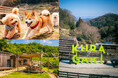 【大阪・奈良の県境】愛犬と行けるカフェ＆キャンプ場「KURAGARI VILLAGE」がわんちゃん用設備をリニューアル