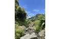 大阪から30分で、こんな小川があるなんて。