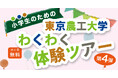 【開催レポート】東京農工大学と連携した小学生向け体験イベントを開催。親子で学べるオープンキャンパス