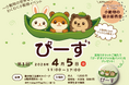 【初開催】小動物の展示即売会「ぴーず」開催決定！（2026/4/5・藤沢駅すぐ）
