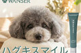 【新発売】天然マグロから作った犬用口腔ジェル「ハグキスマイル」が、歯科医と獣医の共同開発ブランドWANSER（ワンサー）より誕生。