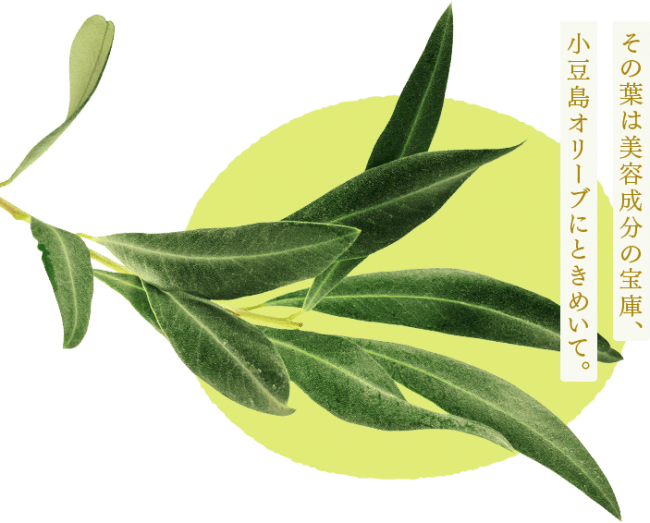 小豆島のオリーブの葉の美のヒミツって ルルルンからから 小豆島のプレミアムルルルン オリーブマスク が発売中 企業リリース 日刊工業新聞 電子版