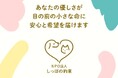『最期まで、安心して生きる場所を』— 高齢犬猫のための居場所づくりプロジェクト始動