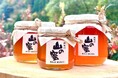 ニホンミツバチの百花蜜『山の蜜』を好評販売中／宮崎県諸塚村特産品販売所「もろっこはうす」