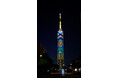 【福岡タワー】夏の夜空に日本最大級のひまわりが出現