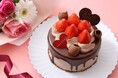 【アンテノール バレンタイン】3日間限定！上質なチョコレートを使用した濃厚なチョコレートケーキや、甘酸っぱい苺とショコラをかけあわせたケーキなど。