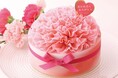【アンテノール 母の日限定】ホワイトチョコでできた繊細なカーネーションのケーキで日頃の感謝を