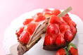 苺づくし！ 【アンテノール】あまおう苺・紅ほっぺ苺のケーキが勢ぞろい！