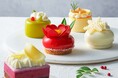 四季菓子の店 HIBIKA(ひびか)は、 季節の彩り豊かな“冬のケーキ”を販売しております。