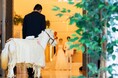 【シーガイア・オーシャン・ウエディング】動物たちもふたりを祝福!新企画「アニマルウエディング」がスタート