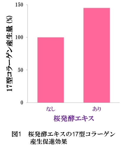 発酵技術を用いた化粧品素材の共同研究契約を締結｜株式会社