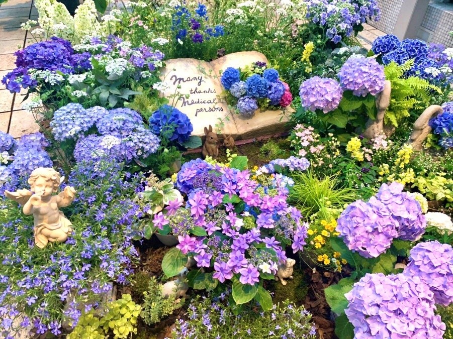 ファンケル銀座スクエアから コロナと闘う全ての人に感謝とエールを込めて あじさいブルーガーデン の動画配信スタート 株式会社ファンケルのプレスリリース