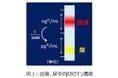 「βカロテン」の充足状態を尿で見える化する技術を開発
