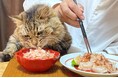 “一緒に食べる幸せ” 人と猫がシェアできる老舗メーカーの本枯節　　『猫節』がペテモ幕張新都心に初上陸！