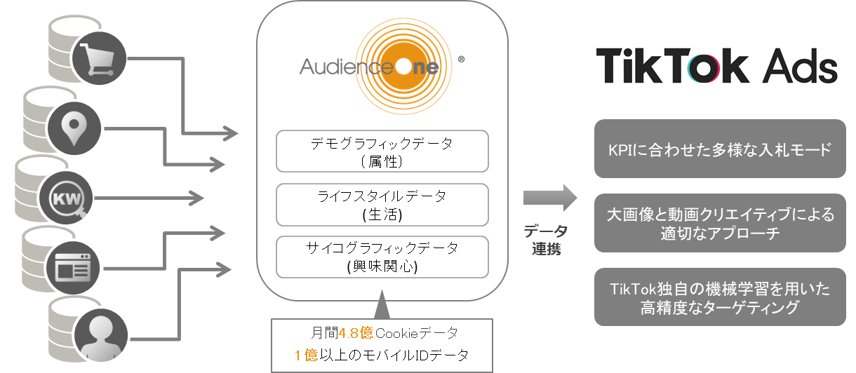 Dac Dacのdmp Audienceone が Tiktok Ads と連携 Dacのプレスリリース