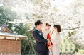 じわり広がる「オフピーク七五三撮影」、桜と着物の“春七五三”が2年で50%増