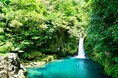 井筒屋 Ｘ 阪九フェリー Ｘ 西鉄旅行タイアップ企画！渦潮から仁淀ブルーへ　～大自然を体感高知満喫・四国名景めぐり3日間