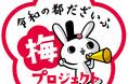 太宰府梅サイダー　今年も発売します！