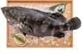 日本初!台湾の高級魚「台湾龍虎ハタ」を輸入し、西鉄グループの各施設で提供します〈台湾 行政機関 農業部とのコラボレーション〉