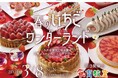 九州7県＆栃木県の８種類のいちごがソラリア西鉄ホテル福岡に集結！いちごのスイーツビュッフェ「春のいちごワンダーランド」