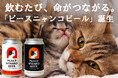 「飲むたび、命がつながる。」飲んで猫を助ける『ピースニャンコビール』がクラウドファンディングで発売開始！