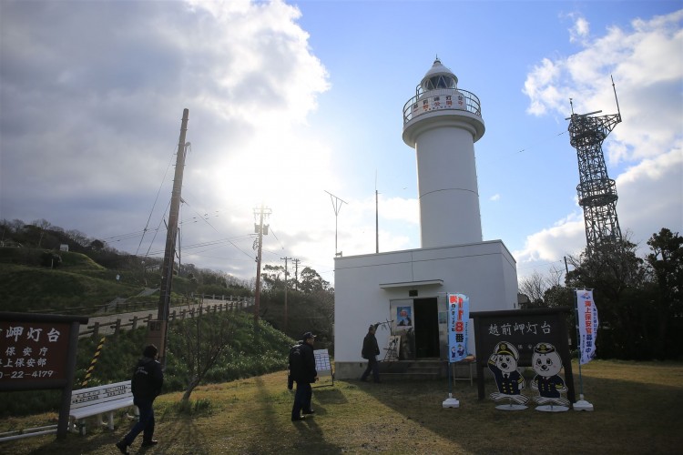 福井県越前町 越前海岸水仙まつり にちなんで 越前水仙群生地に囲まれている越前岬灯台を特別公開します 一般社団法人越前町観光連盟のプレスリリース