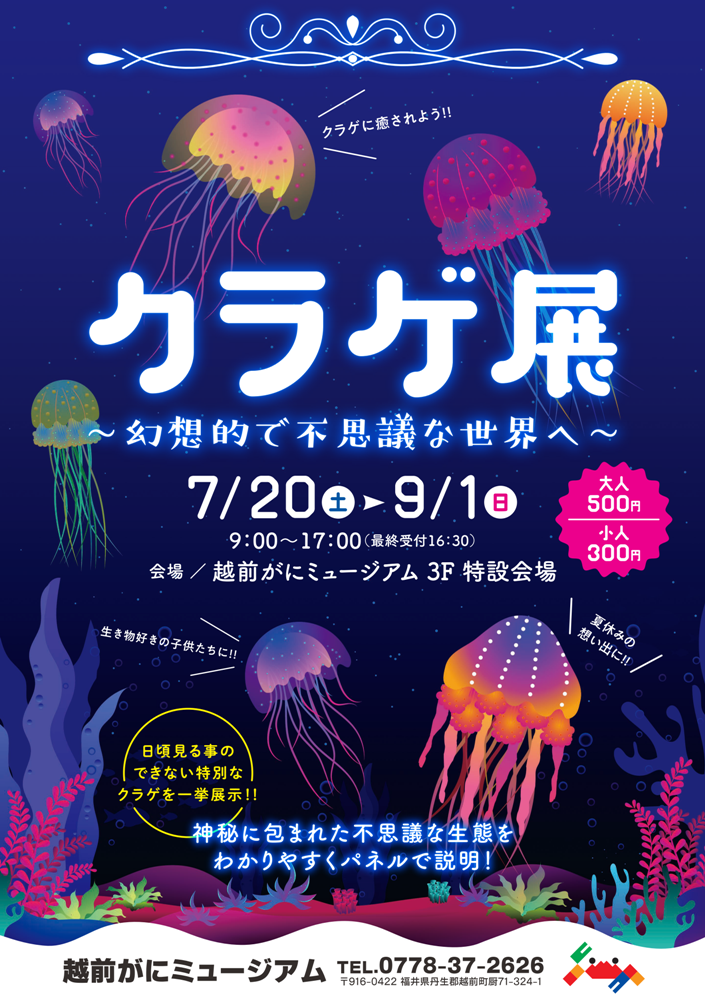 福井県越前町 幻想的な光り輝くクラゲのアート 越前がにミュージアムで クラゲの特別展 開催 一般社団法人越前町観光連盟のプレスリリース