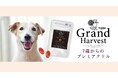 シニア犬の“これから”に、新しい選択肢。ナチュラルハーベストより、シニア犬のための新ブランド「Grand Harvest（グランハーベスト）」が誕生。