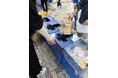 【脱プラ４年目】 プロバスケ「シーホース三河」会場で観客 約500人が分別体験。フード容器を段ボールにリサイクル