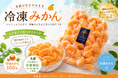 今年の夏は冷凍みかんで健康的に乗り越える！日本屈指のブランド柑橘「有田みかん」を冷凍して食卓へ。