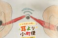 [動画公開]第二回いちほし小町の耳より小町便20260620