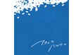 "熊本の彼氏"ことシンガーソングライター杉本琢弥が新曲『アオくてハルい。』を本日リリース！
