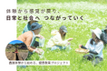 【5月】カモミール収穫体験を開催決定！【7.6兆円の損失】整える力を育てる、農園発のクラウドファンディング実施中