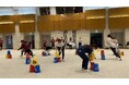 夏休みの児童館企画や学校教育でも活用が広がるスポーツスタッキング