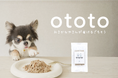 高知の魚屋二代目が本気で作ったカツオを使った犬猫用ごはん『ototo（おとと）』をリリース