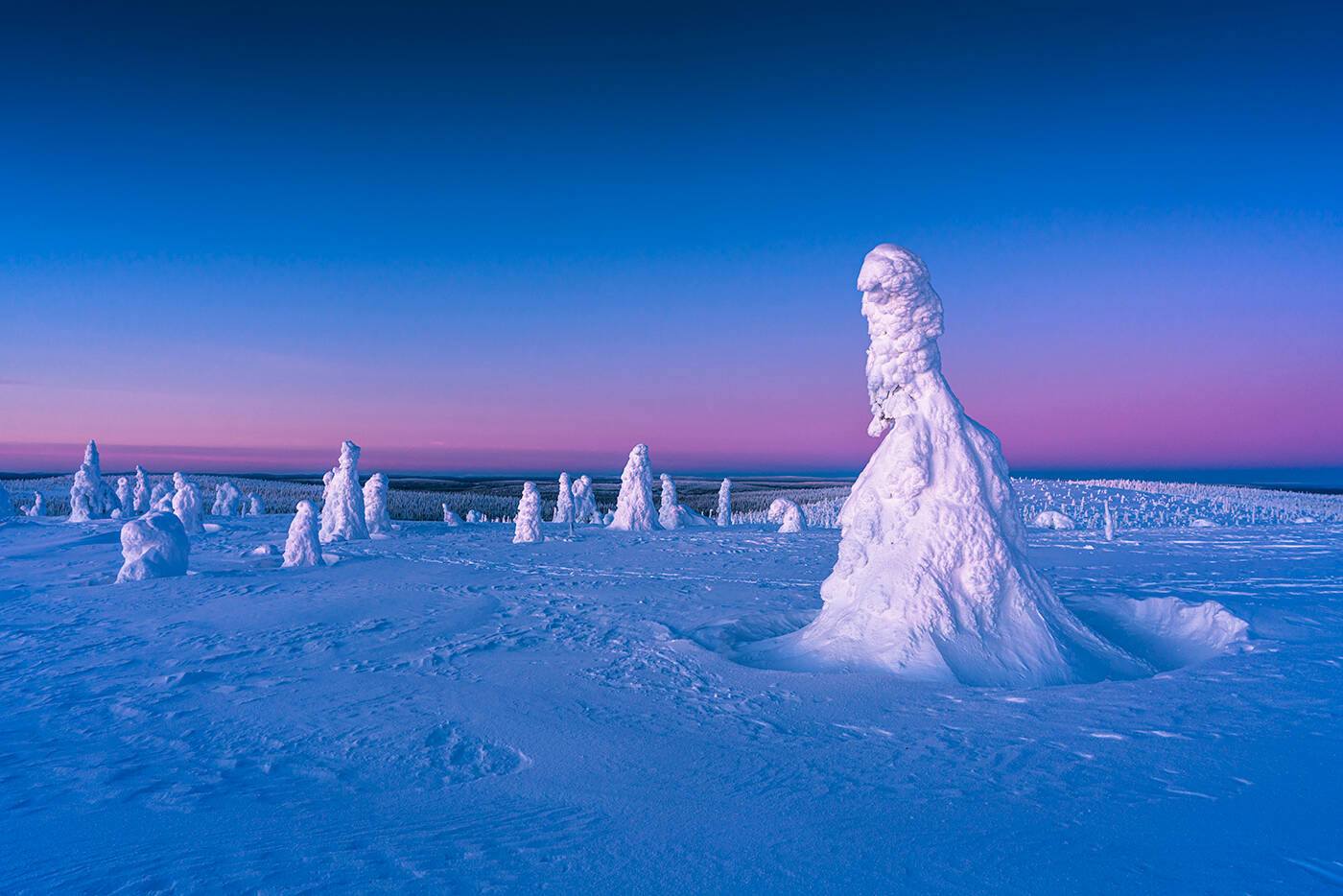 Visit Finland（フィンランド政府観光局）、サステナビリティを旅行の新常識に「サステナブル・トラベル・フィンランド プログラム」を