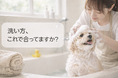 「15年・延べ3万回の現場経験を持つトリマーによる飼い主支援プロジェクトが4月21日始動。第一弾として公式Instagramを開設し、"現場で培った犬の洗い方"を発信開始。」