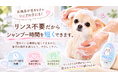 愛犬のお手入れが簡単に変わる新商品登場。トリミングサロンが提案する革新的なリンスインシャンプー「ぽむしゃん」です。