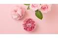 【秋バラの季節を前に】約2cmの食用ミニ薔薇18輪を丸ごと砂糖菓子に。プレミアムギフト「Rose Garden」が9月15日発売