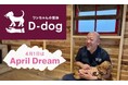 【ワンちゃん整体 D-dog】愛犬に整体という愛情を“あたり前”に