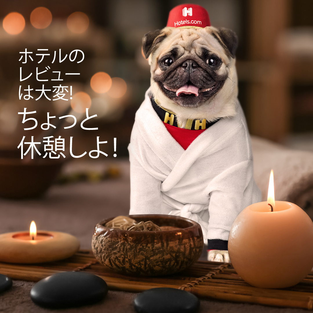 ペットにも豪華なベッドを Hotels Com ペットを投稿してクーポンをもらえる チームアニマル評論家 キャンペーンを9月30日 水 より開始 Hotels Comのプレスリリース