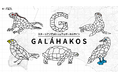 函館のスタートアップエコシステムの基盤となるコミュニティポータルサイト「Galáhakos」をリリース