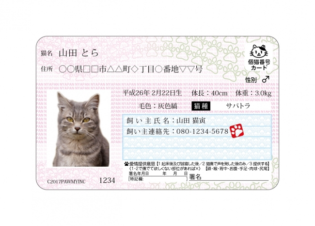 マイナンバーならぬ マイニャンバー 愛猫のための オリジナルidカード マイニャンバー カード 17年2月22日 猫の日 に発売開始 株式会社ポーミーのプレスリリース