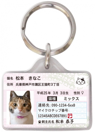 今までにない新しいタイプの迷子札 愛猫のための身分証明書 マイニャンバーカード の 迷子札バージョン 発売開始 株式会社ポーミーのプレスリリース
