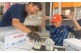 【夏休み自由研究のお悩みを1日で解決】市場関係者でも食べられない「炊きたて10分以内」の釜揚げしらす完全密着ツアーを開催