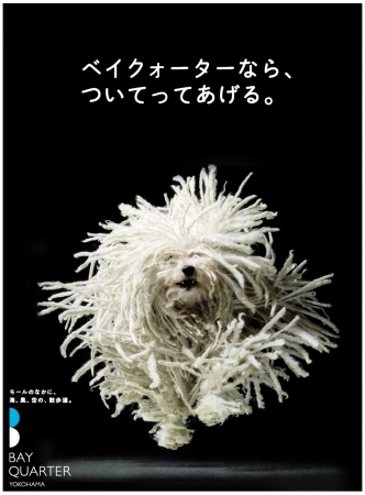 広告ビジュアルに出た「プーリー」のようなレア犬種が集まるイベントも